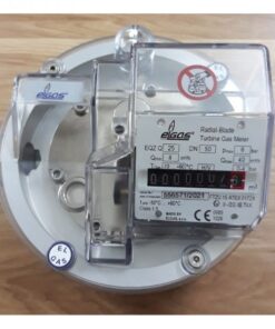 Đồng hồ đo lưu lượng gas EQZ