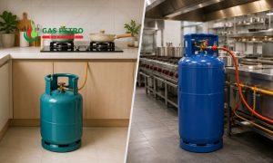 Nên dùng bình gas 12kg hay 45kg tùy thuộc vào nhu cầu sử dụng của từng gia đình và cơ sở kinh doanh